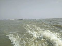 -巢湖姥山岛