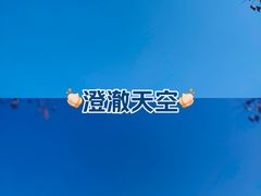 -河南财经政法大学(郑东校区)