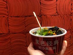 -黑色经典臭豆腐·湖南特产(坡子街店)