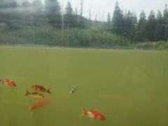 android_upload_pic-云龙湖旅游景区