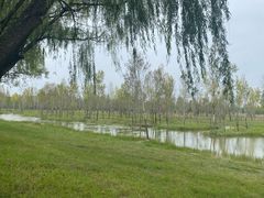 -野鸭湖国家湿地公园