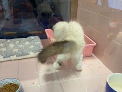 -FAELING PETS美天灵宠物(富力广场店)