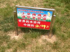 我家乡，我骄傲！-曹州牡丹园