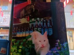 -新月集庭院咖啡馆(老邮局店)