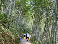 -千泷沟大瀑布旅游区