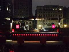 -花马天堂云南餐厅 Lost Heaven(外滩店)