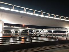 -演武大桥观景平台