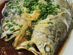 -浙江宾馆·花园餐厅·自助餐厅·茶吧