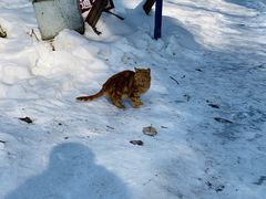 -终南山南五台景区
