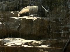 -宁波野生动物园