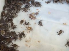 -永汉农贸综合市场