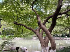 -素清香(解放路店)