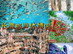 -长鹿旅游休博园