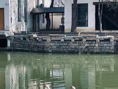 -观唐（国际）度假村温泉