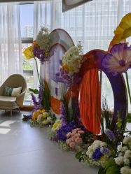 -上海伊莱美医疗美容医院