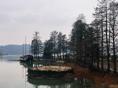 -东湖落雁景区