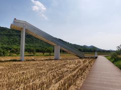 -艾米稻香小镇