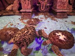 -波塞冬旅游度假区