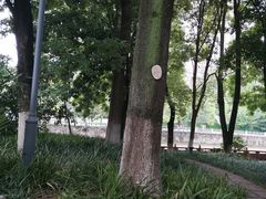 -成都市活水公园