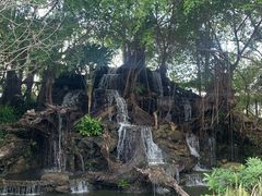 -绿光森林餐厅