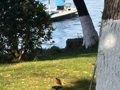 -浙江西子宾馆·瑶园咖啡厅