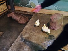 -太阳岛度假酒店