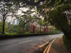 -深圳国际园林花卉博览园