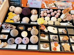 -龙柏饭店-地面停车场