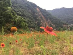 -石砭峪水库