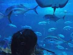 -华夏文旅海洋公园