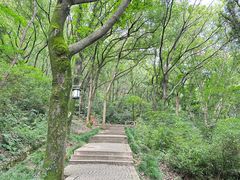 -苏州上方山国家森林公园