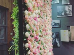 -百好乐宠物友好餐厅(朝外大街店)