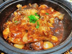 砂锅碟鱼头-双合园·海鲜水饺青岛菜(大尧三路店)