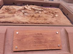 -陕西自然博物馆