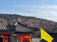 -泰山风景名胜区-普照寺