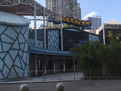 -武汉市青少年宫水上世界