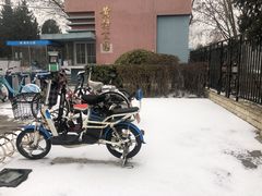 -黄村公园