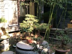 -老张烤羊(王哥庄店)