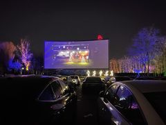 -枫花园汽车电影院(朝阳公园店)
