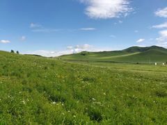 -张北坝上草原
