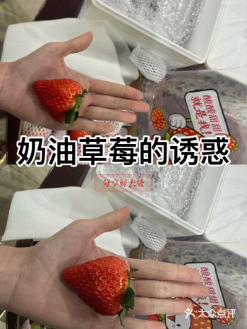 #天天领红包草莓不仅美味，而且营养价值丰富