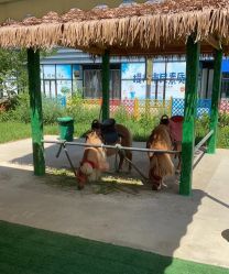 -萌宠亲子动物乐园(槐房万达店)