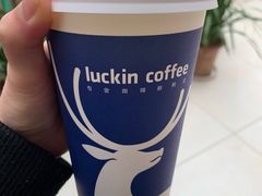 -瑞幸咖啡(王府井购物中心店)