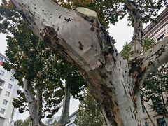 -中共五大会址纪念馆