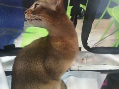 -万隆广场(昆仑大街店)