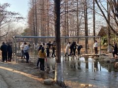 -祥源·阜阳生态乐园