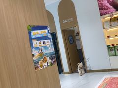 -希望动物医院(汉阳院)