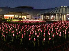 -松葉日料(三胞广场店)