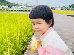 -艾米稻香小镇
