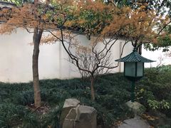 -秋霞圃